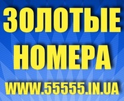 Красивые,  Золотые,  Vip-номера МТС,  Киевстар,  Лайф,  Билайн. Низкие цены