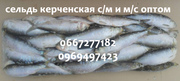 Сельдь керченская с/м и м/с оптом