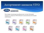 Бактериальные закваски Vivo,  Lacte,  Goodfood