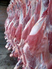Мясо говядина,  телятина,  конина,  баранина,  яка охлажденное.