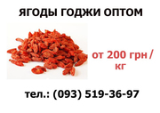 Ягоды годжи оптом . Доставка по всей Украине 