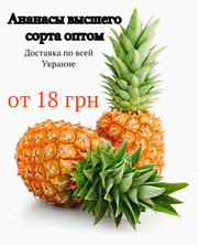Ананасы высший сорт