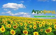 куплю сою, жито, кукурудзу, соняшник