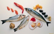 Продам рыбу и морепродукты оптом и в розницу по выгодным ценам
