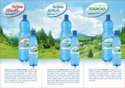 karpat-bud77@mail.ru
