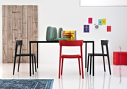 Отличный дизайренерский стул Calligaris Skin
