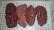 Продам субпродукты говяжьи (печень, легкие,  калтык,  вымя,  рубец, хвост, с