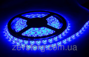 Гибкая светодиодная лента 3528/60 12v 5м. Синий цвет