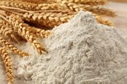 Продам муку пшеничную оптом.