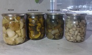 Продам грибы маринованные