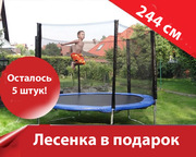  Батут 252см + сетка Funfit (прорезиненный)