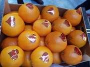 Продаем апельсины из Испании