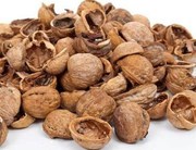 Закуповуємо шкаралупу грецького горіха