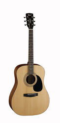 Cort AD810 NS